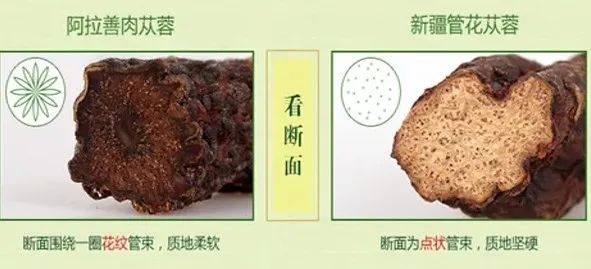 微信图片_20220417175528.jpg