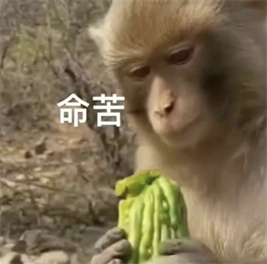 微信图片_20250722090449.jpg
