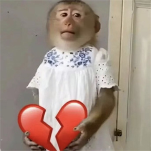 微信图片_20250722090453.jpg