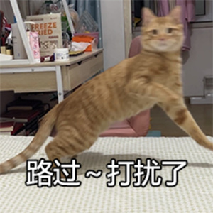 微信图片_20250722090455.jpg