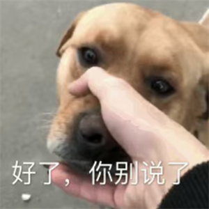 微信图片_20250722090502.jpg