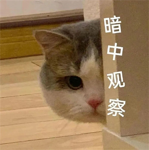 微信图片_2026-07-23_135508_260.jpg